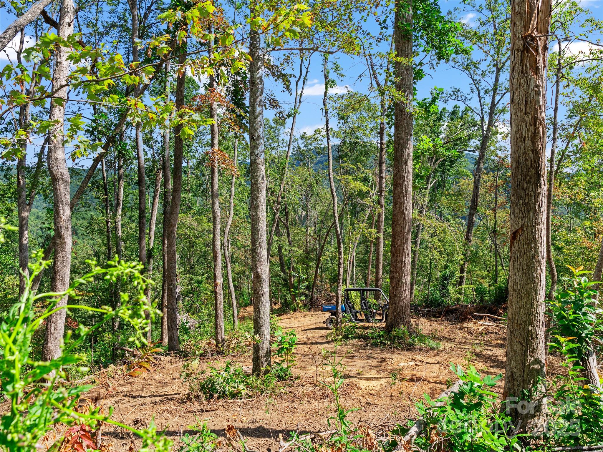 99999 Youngs Gap Road Fletcher NC 28732