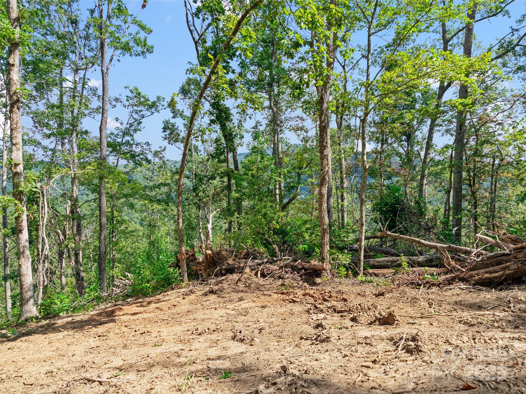 99999 Youngs Gap Road Fletcher NC 28732