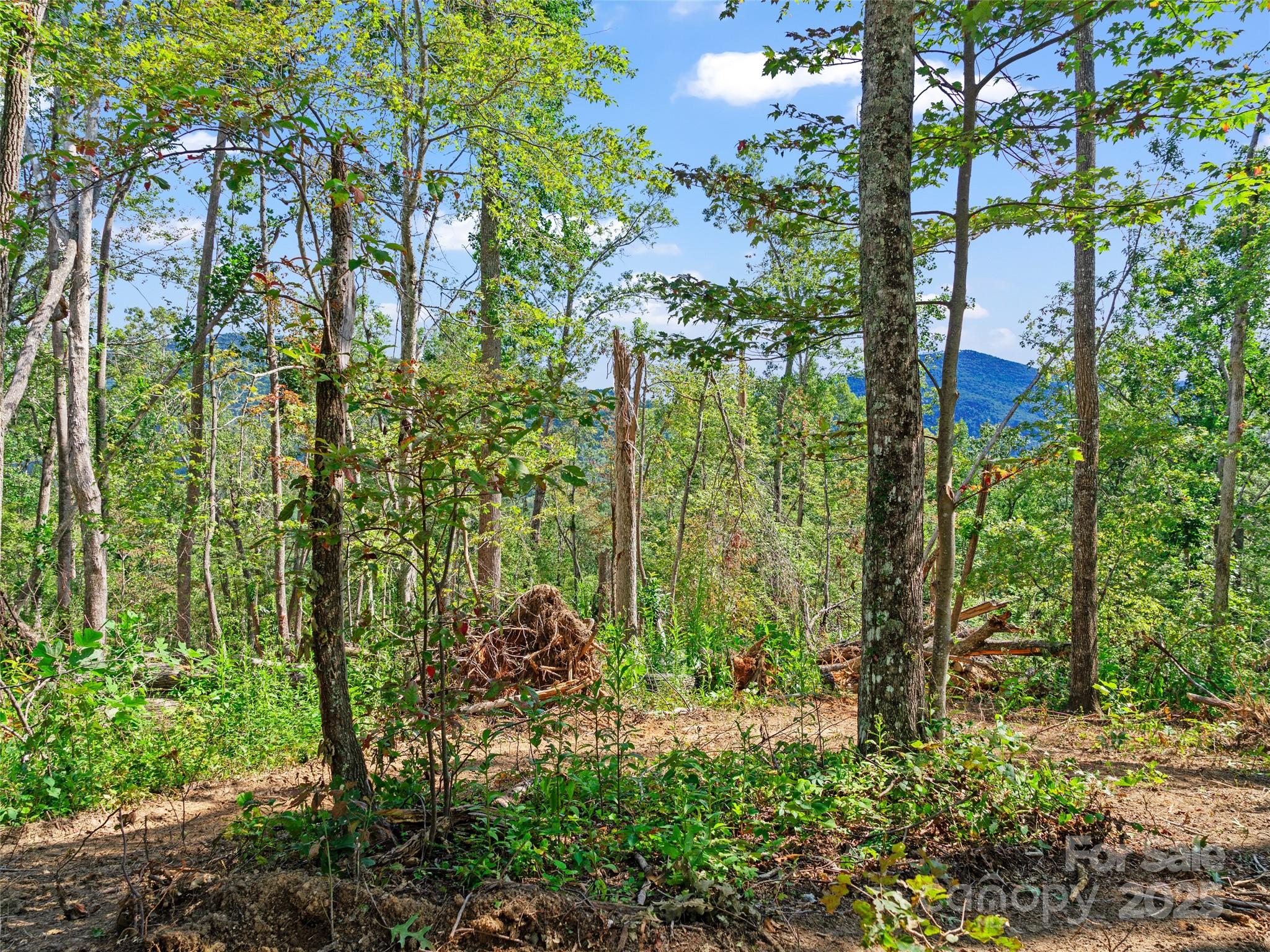 99999 Youngs Gap Road Fletcher NC 28732