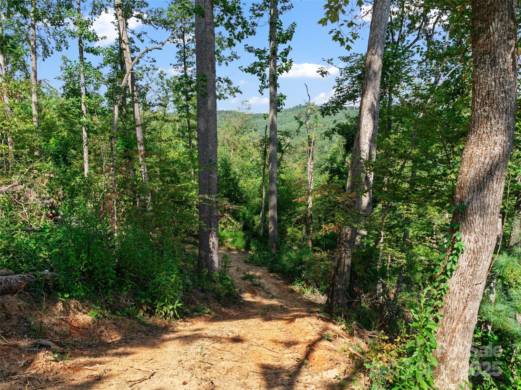 99999 Youngs Gap Road Fletcher NC 28732