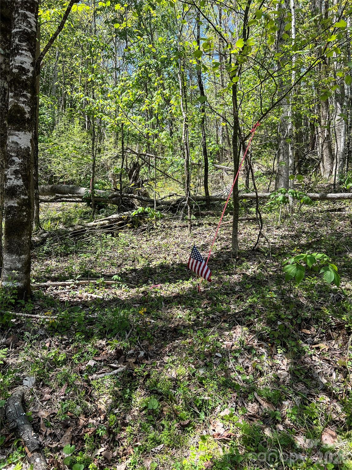 Lot# 34 Buckeye Creek Road Beech Mountain NC 28622