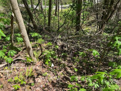 Lot# 34 Buckeye Creek Road Beech Mountain NC 28622