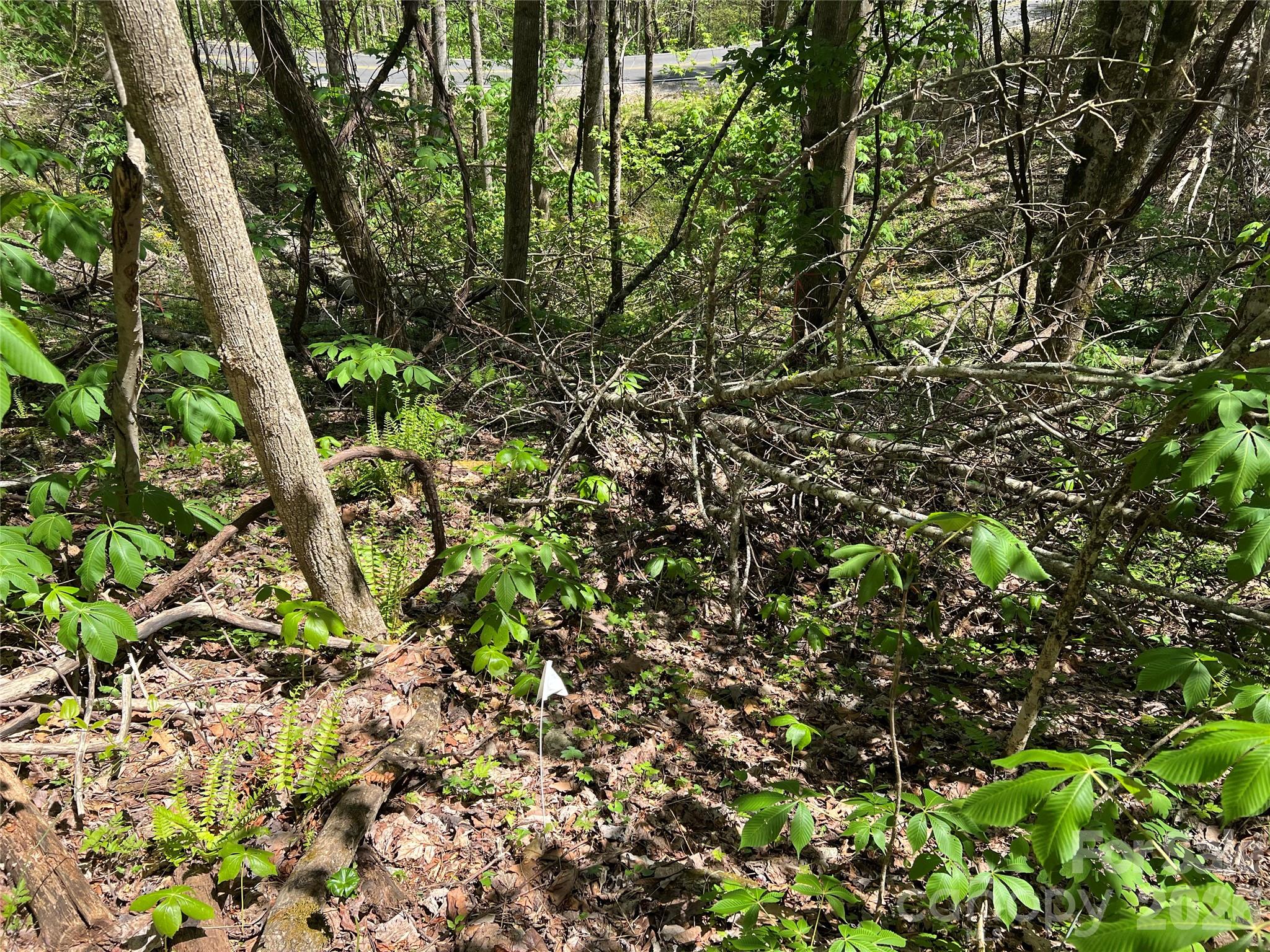 Lot# 34 Buckeye Creek Road Beech Mountain NC 28622