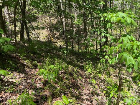 Lot# 34 Buckeye Creek Road Beech Mountain NC 28622