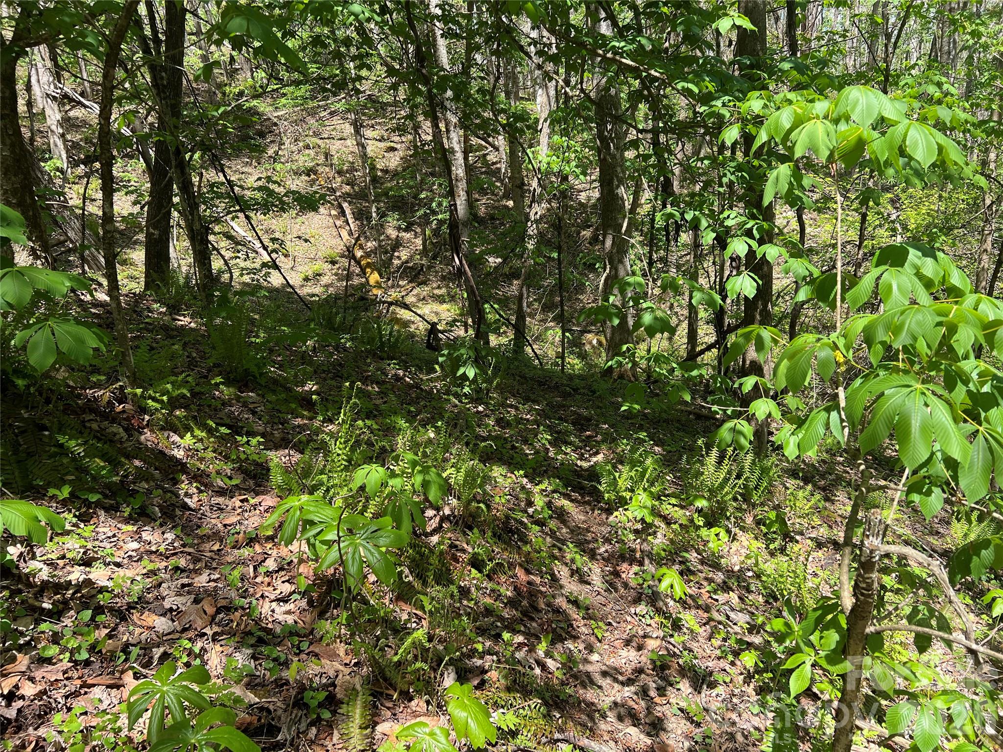 Lot# 34 Buckeye Creek Road Beech Mountain NC 28622