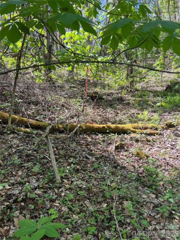 Lot# 34 Buckeye Creek Road Beech Mountain NC 28622