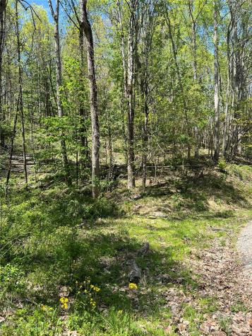 Lot# 34 Buckeye Creek Road Beech Mountain NC 28622