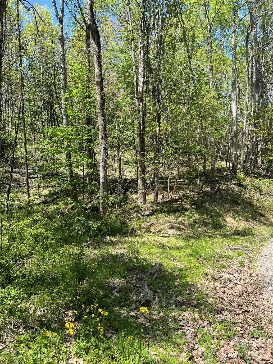 Lot# 34 Buckeye Creek Road Beech Mountain NC 28622