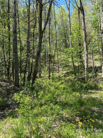 Lot# 34 Buckeye Creek Road Beech Mountain NC 28622