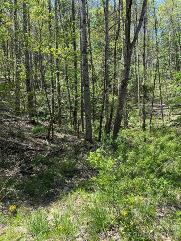 Lot# 34 Buckeye Creek Road Beech Mountain NC 28622