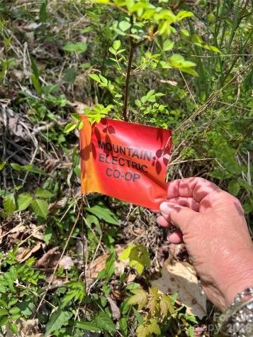 Lot# 34 Buckeye Creek Road Beech Mountain NC 28622
