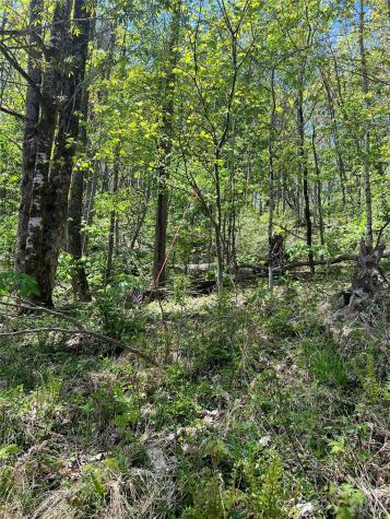 Lot# 34 Buckeye Creek Road Beech Mountain NC 28622
