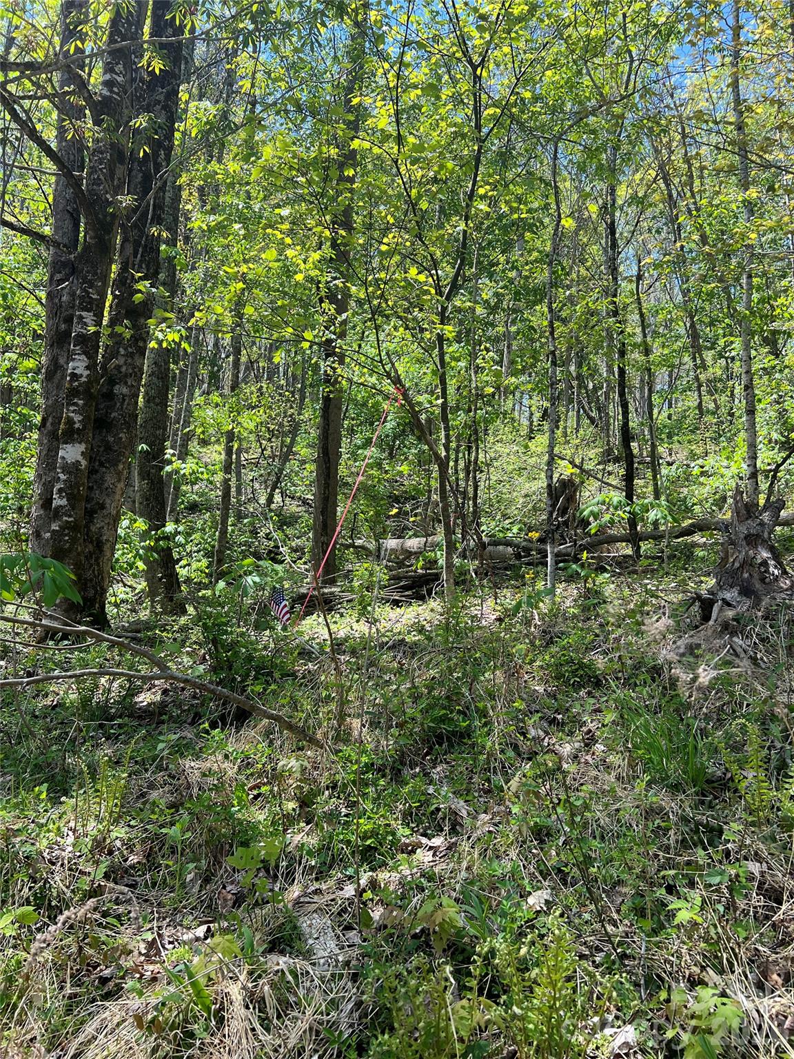 Lot# 34 Buckeye Creek Road Beech Mountain NC 28622