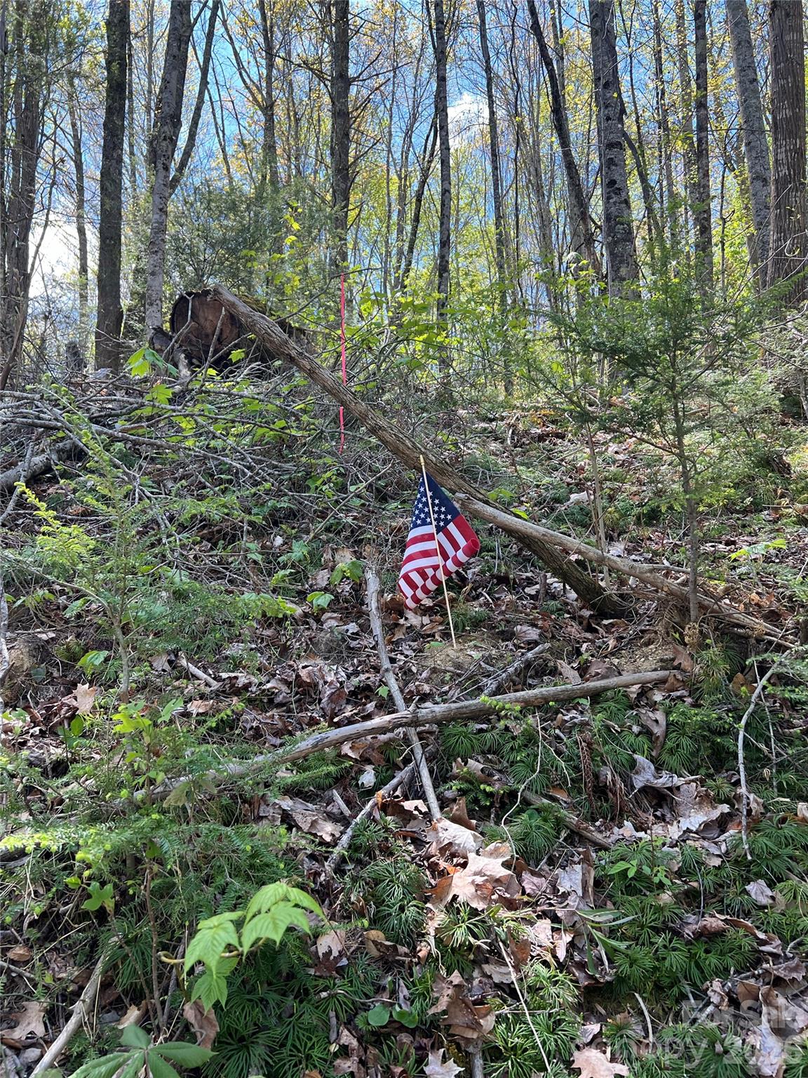 Lot# 34 Buckeye Creek Road Beech Mountain NC 28622