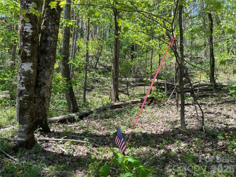 Lot# 34 Buckeye Creek Road Beech Mountain NC 28622
