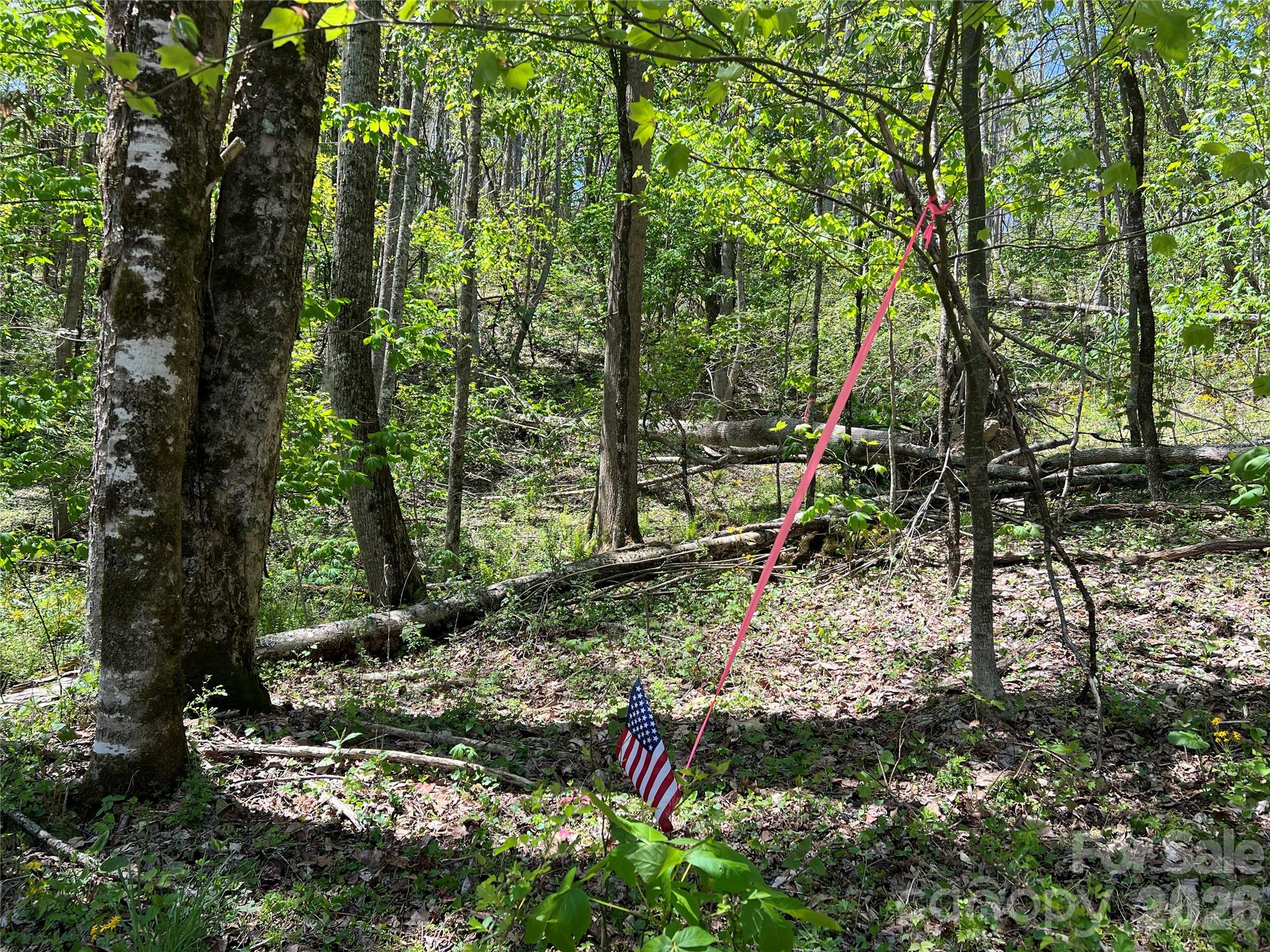 Lot# 34 Buckeye Creek Road Beech Mountain NC 28622