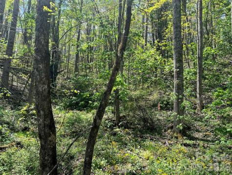 Lot# 34 Buckeye Creek Road Beech Mountain NC 28622