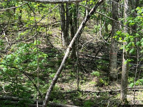 Lot# 34 Buckeye Creek Road Beech Mountain NC 28622