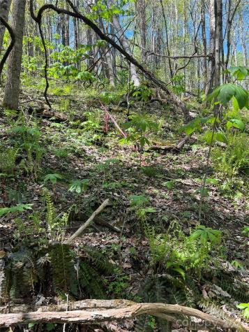 Lot# 34 Buckeye Creek Road Beech Mountain NC 28622