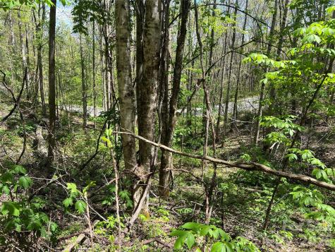 Lot# 34 Buckeye Creek Road Beech Mountain NC 28622