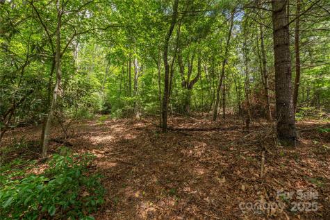 1221 Brush Creek Circle Fairview NC 28730