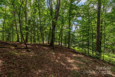 1221 Brush Creek Circle Fairview NC 28730