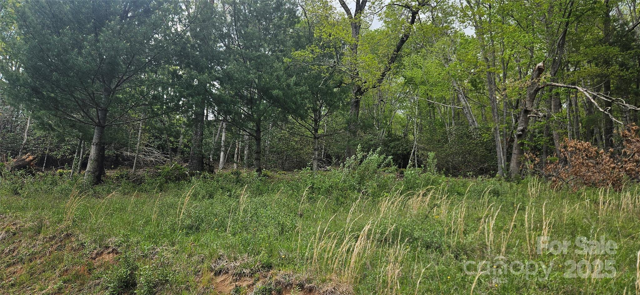 0 Clear Creek Drive Newland NC 28657