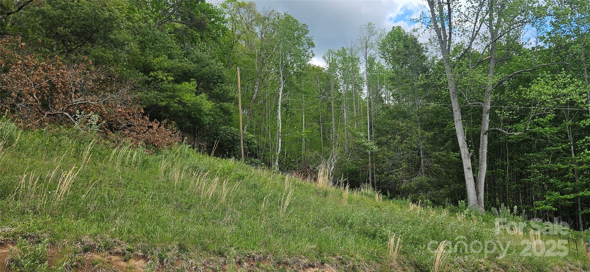 0 Clear Creek Drive Newland NC 28657