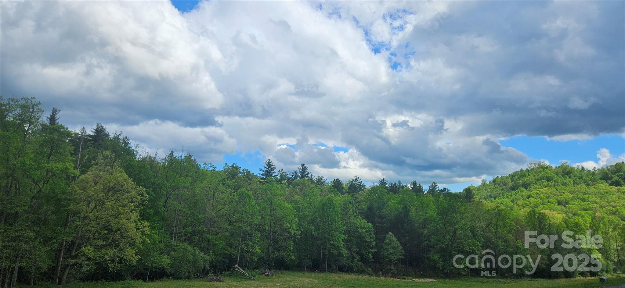 0 Clear Creek Drive Newland NC 28657