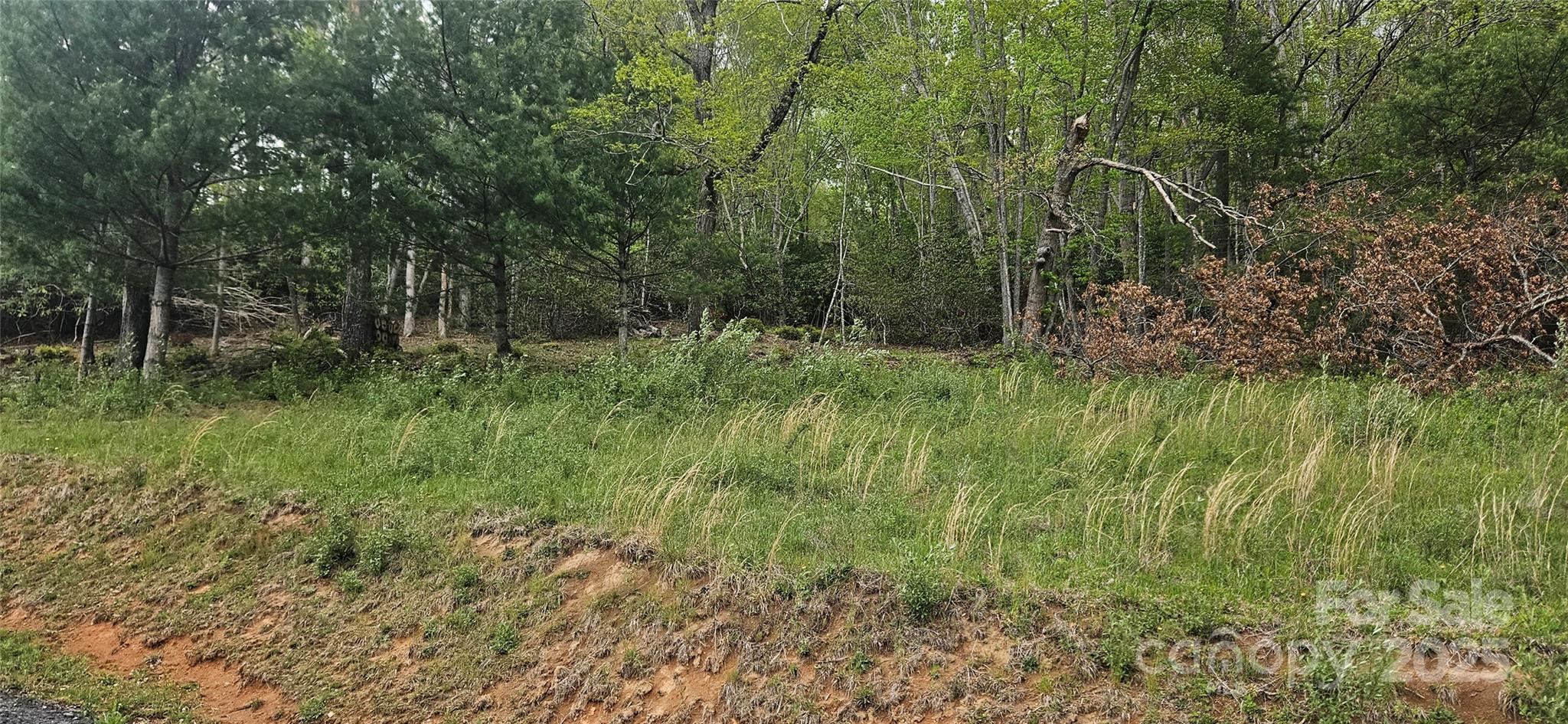 0 Clear Creek Drive Newland NC 28657