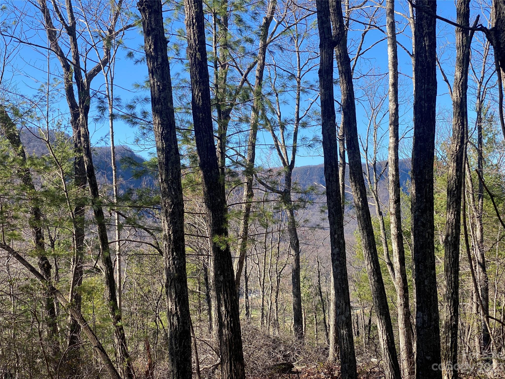 Lot 49 Sunrise Path Marion NC 28752