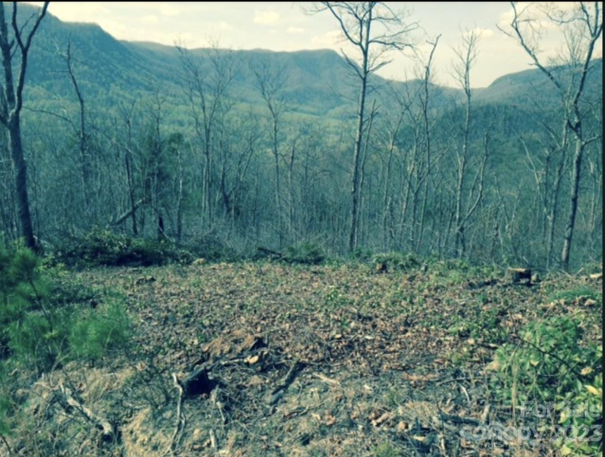 Lot 49 Sunrise Path Marion NC 28752