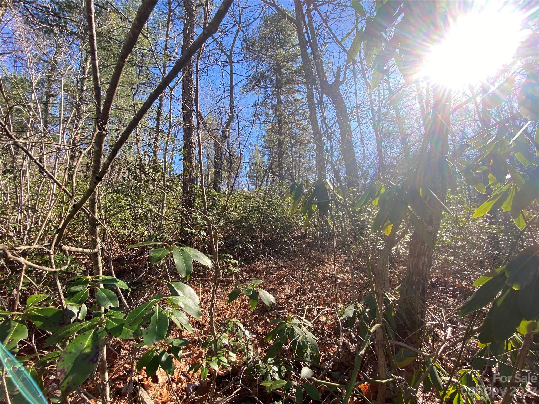 Lot 49 Sunrise Path Marion NC 28752