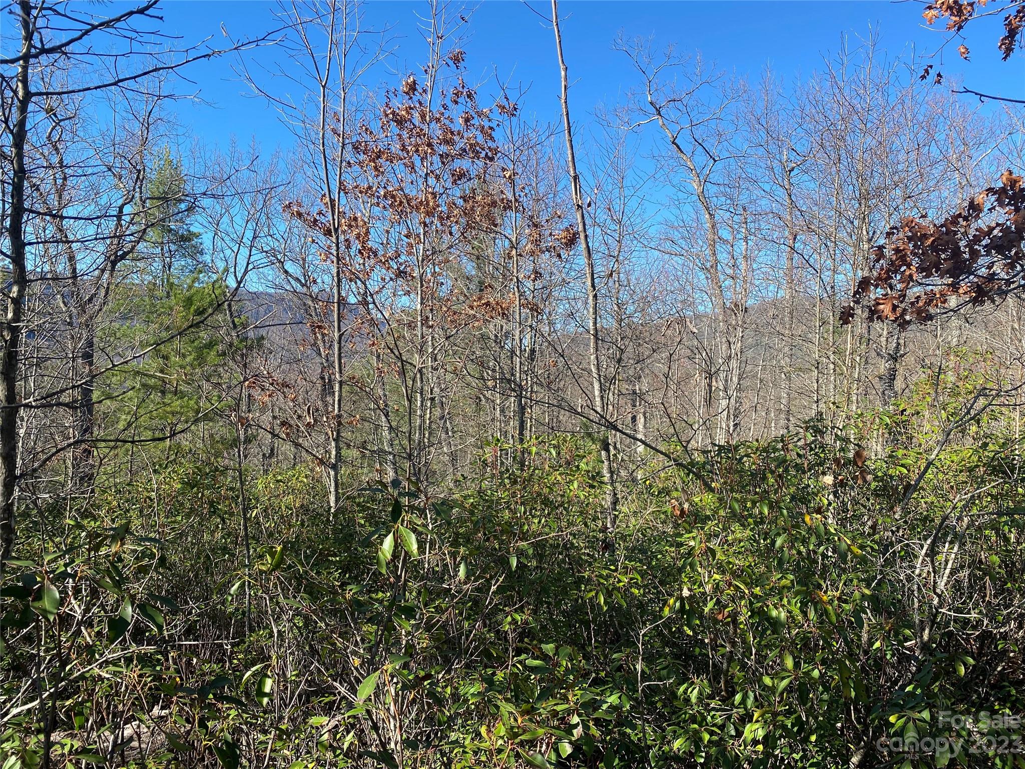 Lot 49 Sunrise Path Marion NC 28752
