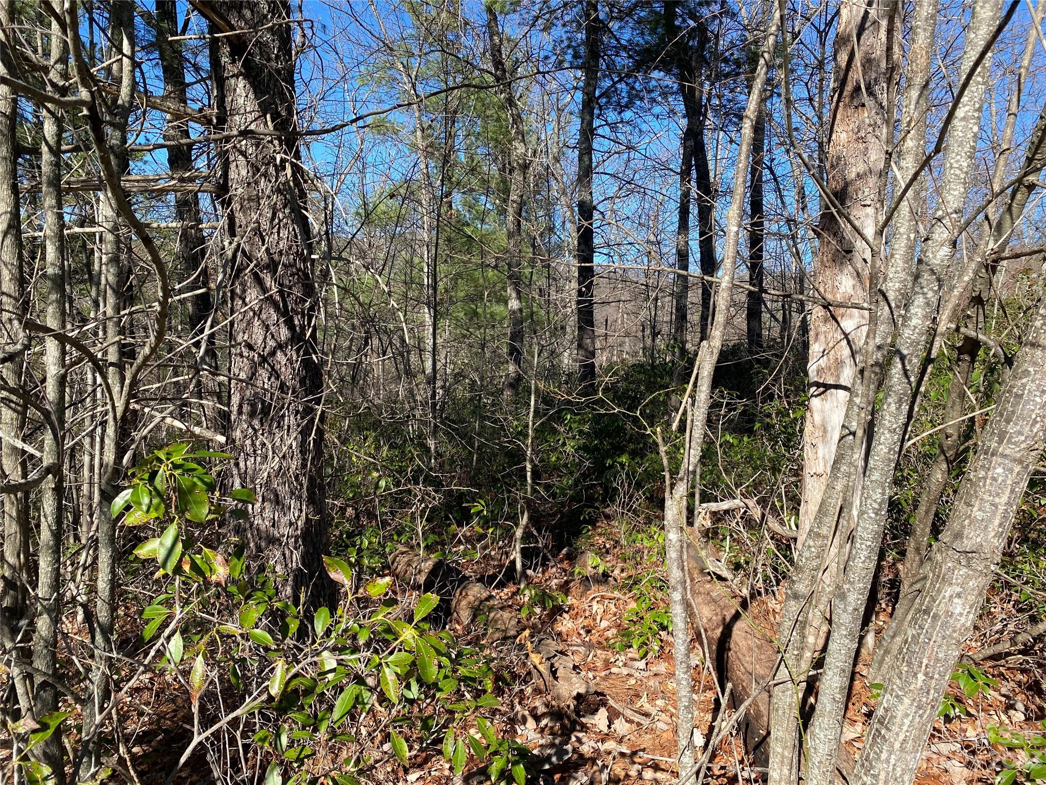 Lot 49 Sunrise Path Marion NC 28752
