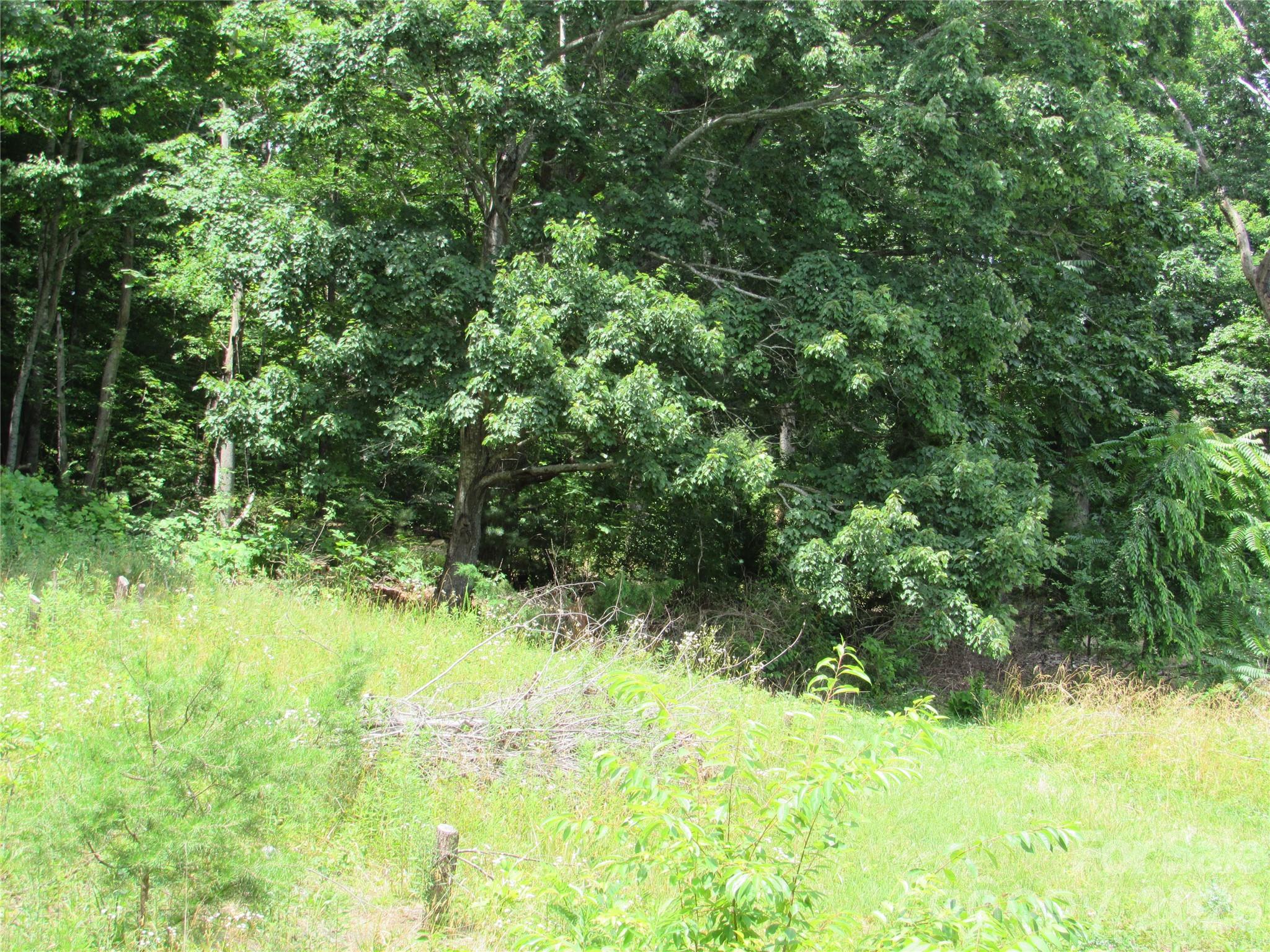 #6 Mystic View Lane Black Mountain NC 28711
