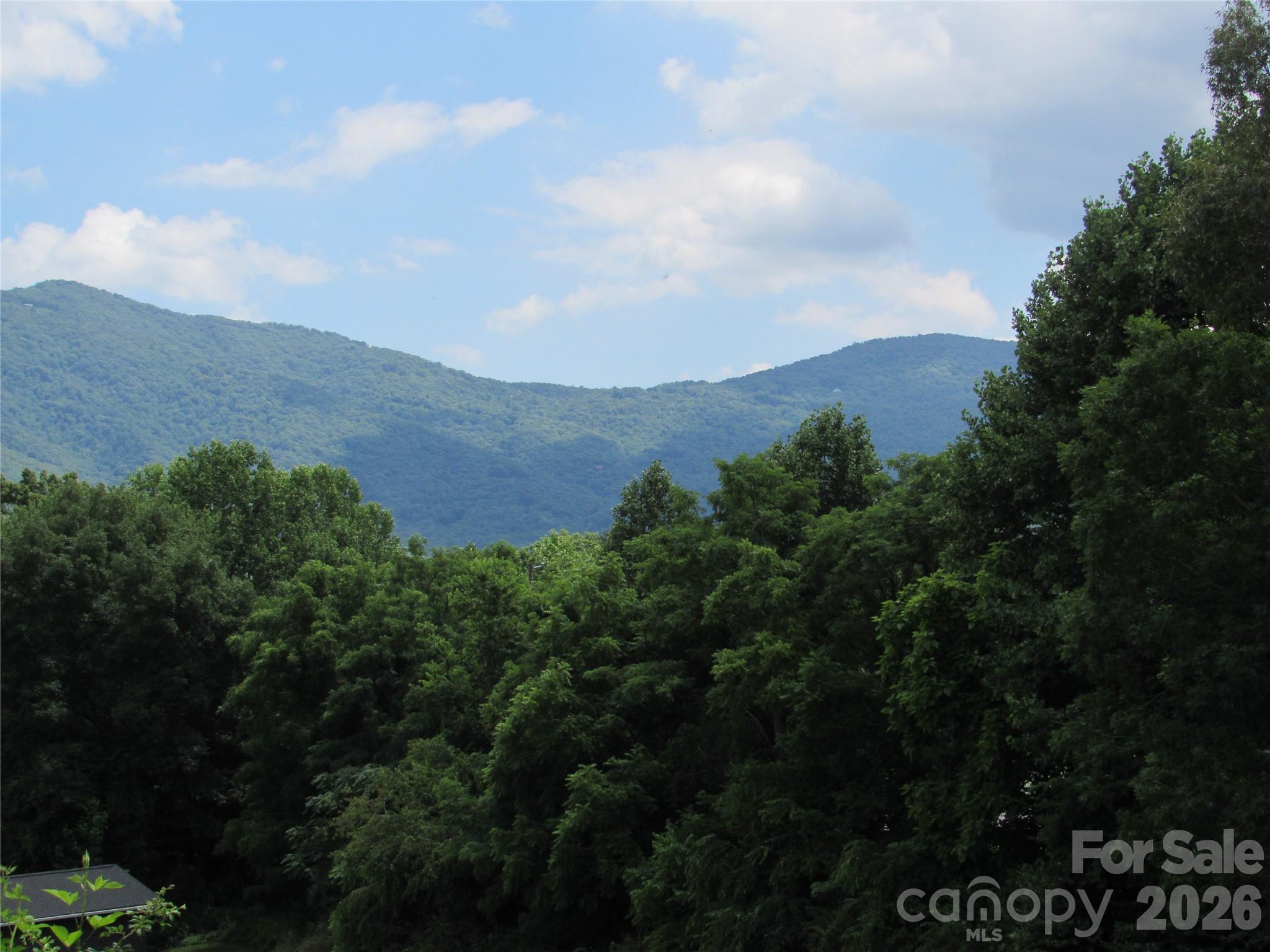 #6 Mystic View Lane Black Mountain NC 28711