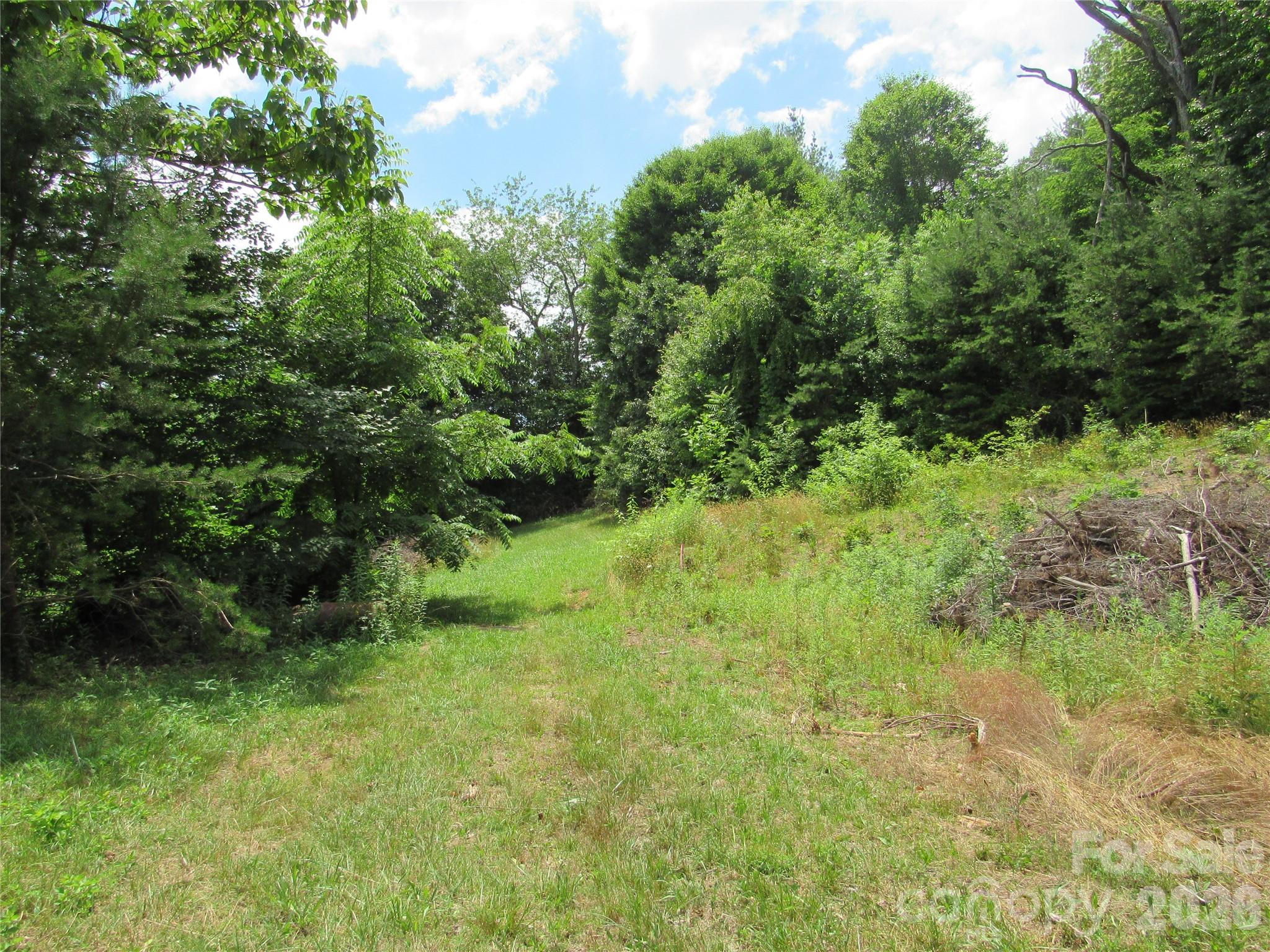 #6 Mystic View Lane Black Mountain NC 28711