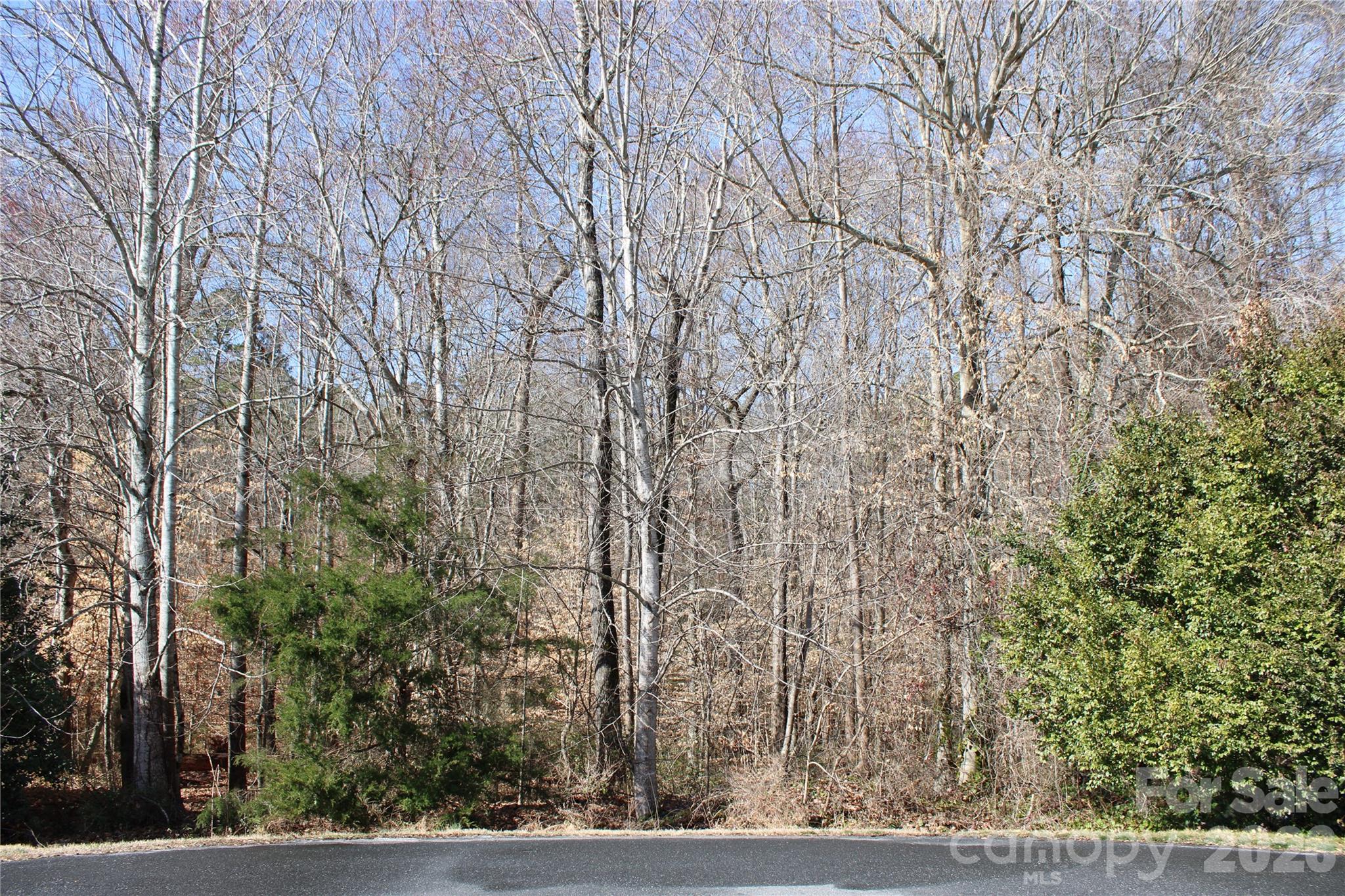 Lot 13 Weatherfield Drive Lincolnton NC 28092