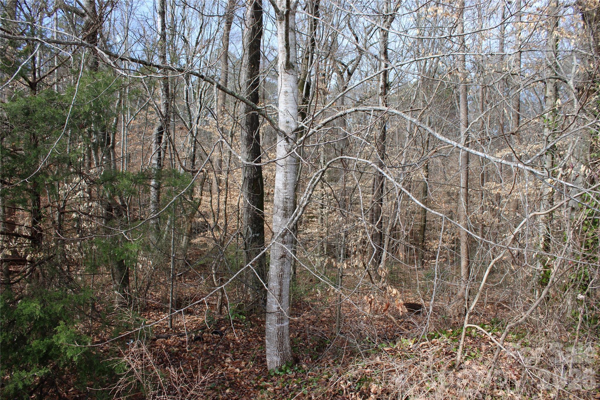 Lot 13 Weatherfield Drive Lincolnton NC 28092