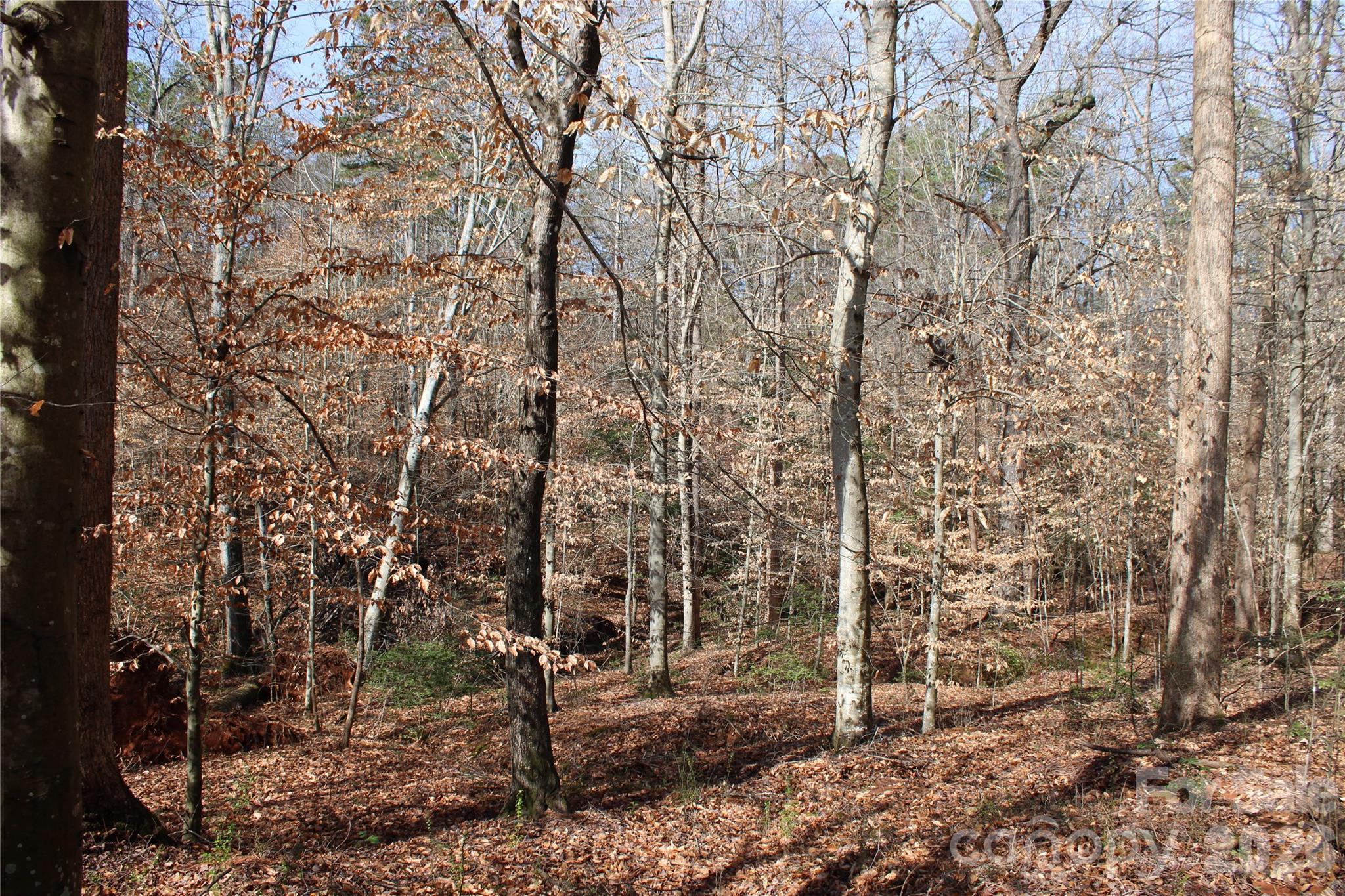 Lot 13 Weatherfield Drive Lincolnton NC 28092