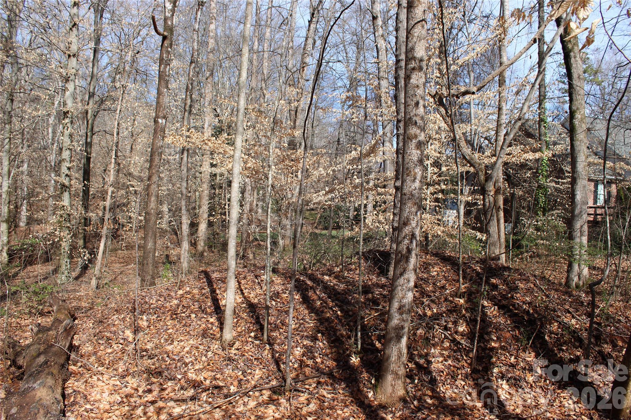 Lot 13 Weatherfield Drive Lincolnton NC 28092