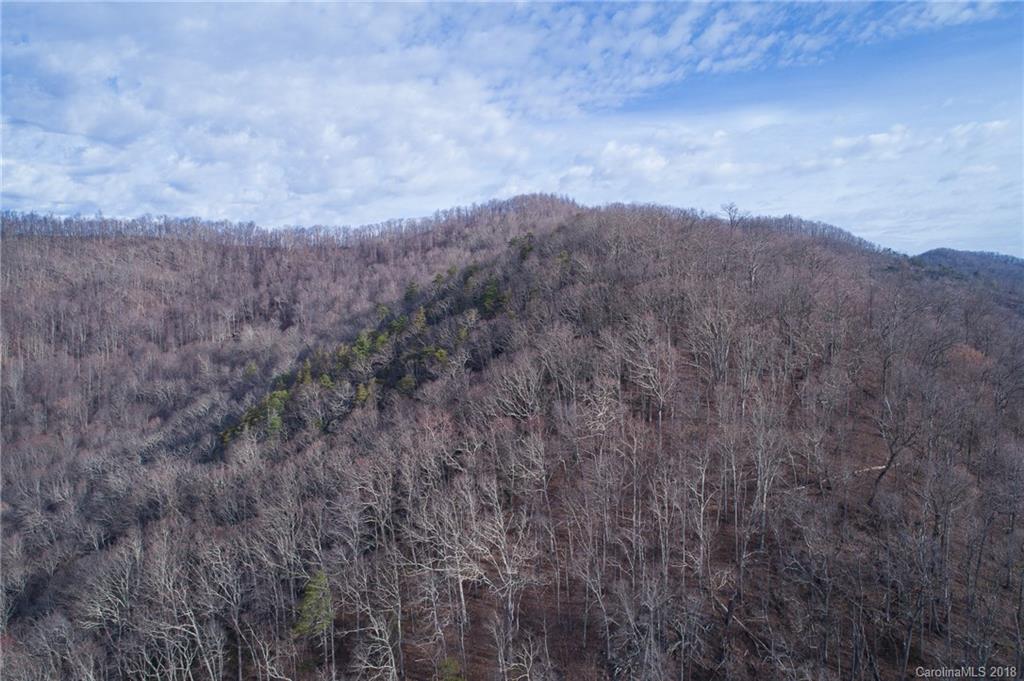 29 Nellie Bell Lane Swannanoa NC 28778