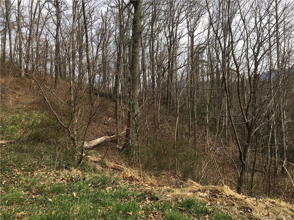 29 Nellie Bell Lane Swannanoa NC 28778