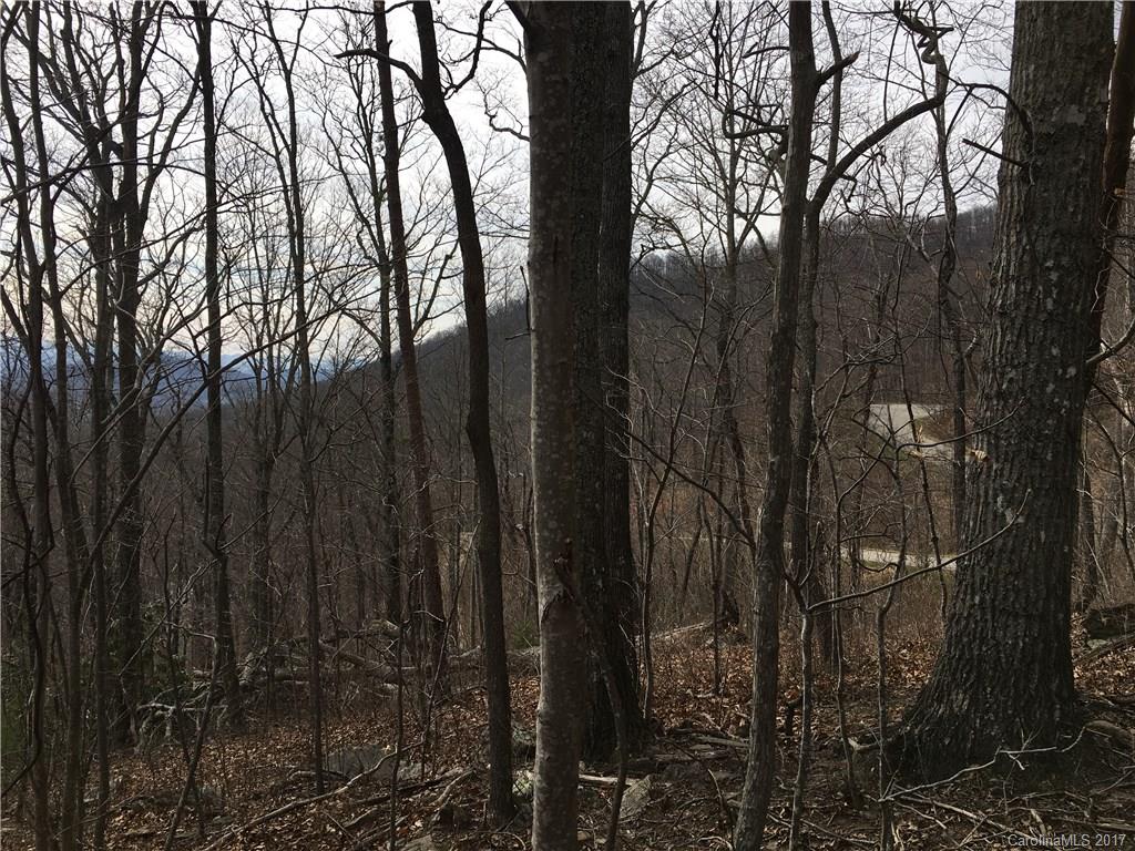 29 Nellie Bell Lane Swannanoa NC 28778