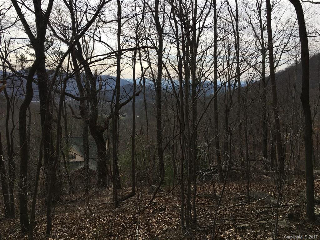 29 Nellie Bell Lane Swannanoa NC 28778