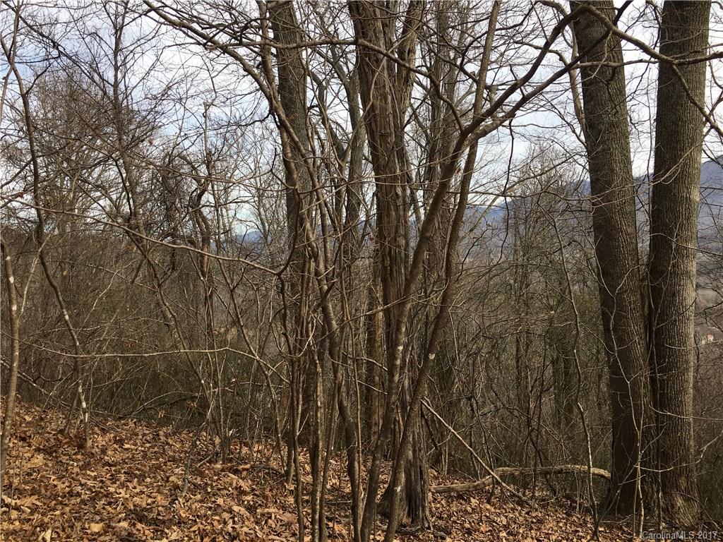 29 Nellie Bell Lane Swannanoa NC 28778