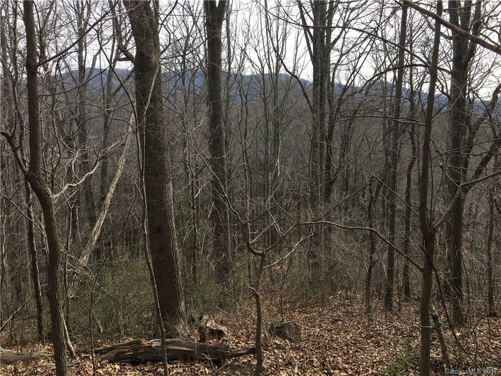 29 Nellie Bell Lane Swannanoa NC 28778