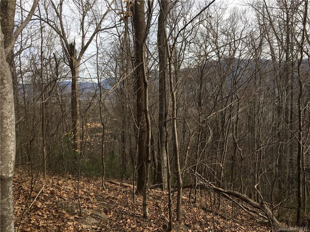 29 Nellie Bell Lane Swannanoa NC 28778