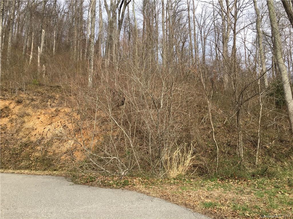 29 Nellie Bell Lane Swannanoa NC 28778